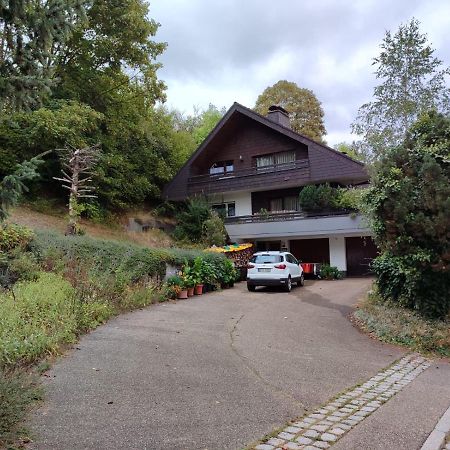 Feldbergsicht Apartment เลนซ์เคียร์ช ภายนอก รูปภาพ